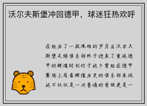 沃尔夫斯堡冲回德甲，球迷狂热欢呼