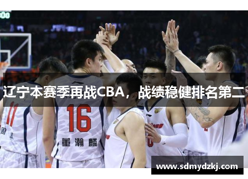 辽宁本赛季再战CBA，战绩稳健排名第二