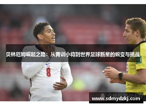 贝林厄姆崛起之路：从青训小将到世界足球新星的蜕变与挑战