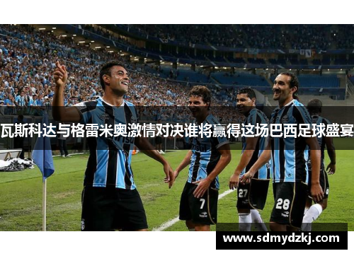 瓦斯科达与格雷米奥激情对决谁将赢得这场巴西足球盛宴