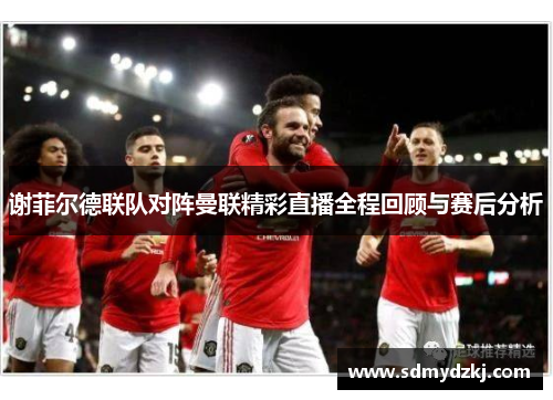 谢菲尔德联队对阵曼联精彩直播全程回顾与赛后分析