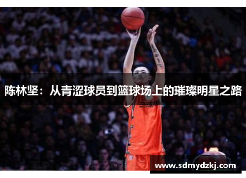陈林坚：从青涩球员到篮球场上的璀璨明星之路
