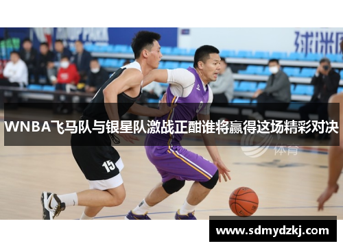 WNBA飞马队与银星队激战正酣谁将赢得这场精彩对决